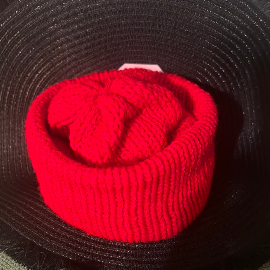 Red beanie hat