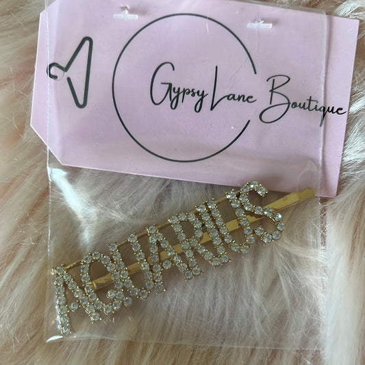 Aquarius hair pin